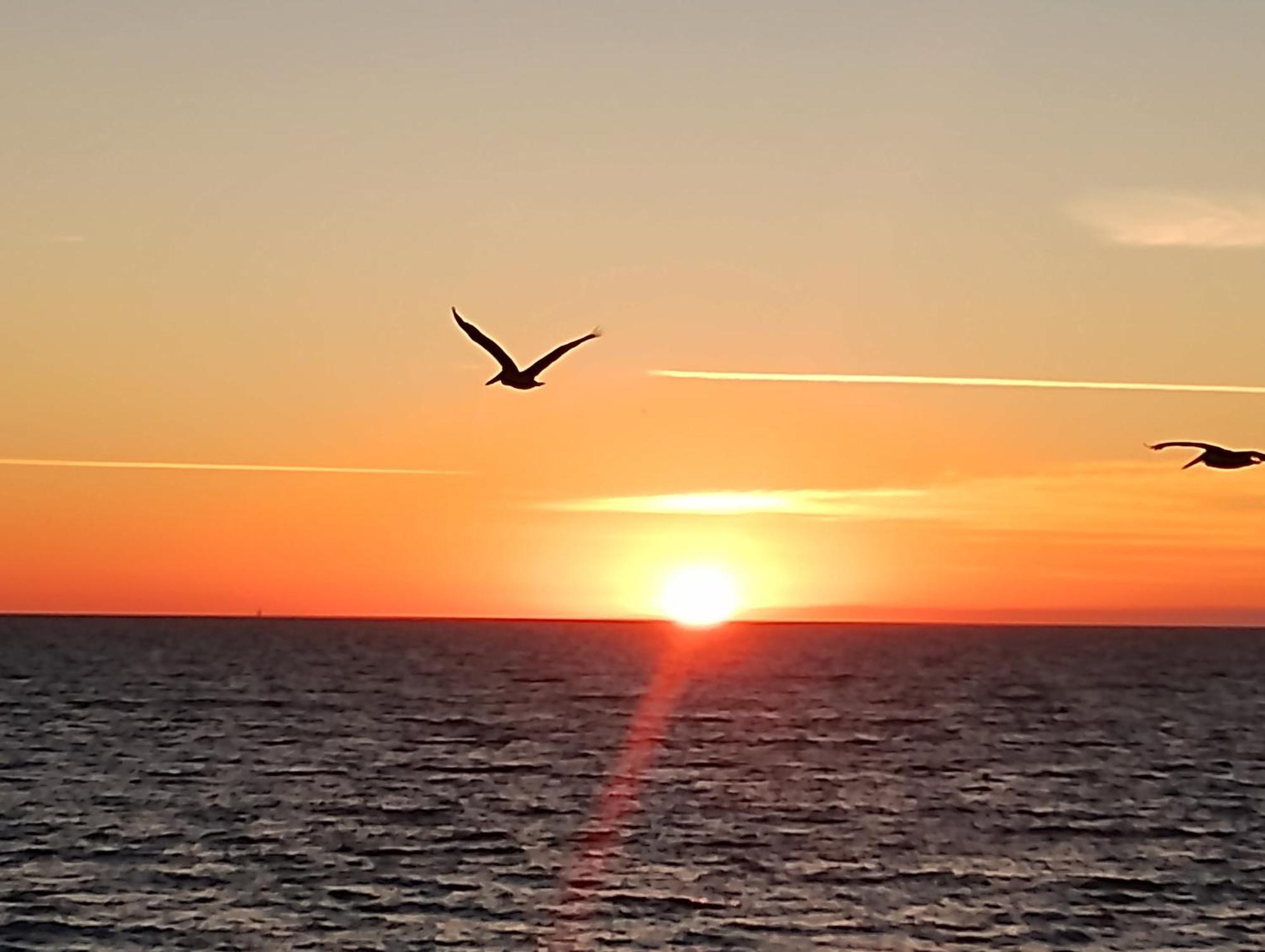 Dolphin Maeva Residencial Βίλα Puerto Peñasco Εξωτερικό φωτογραφία