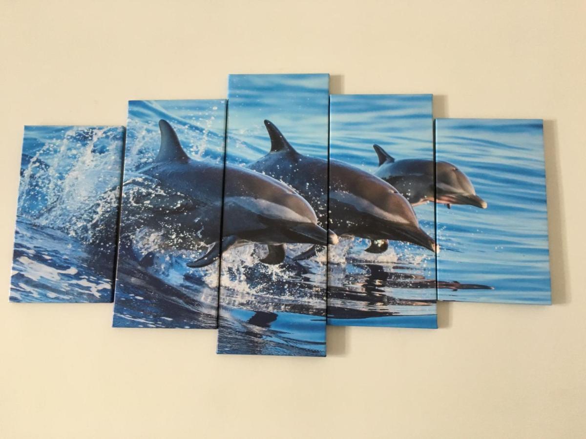 Dolphin Maeva Residencial Βίλα Puerto Peñasco Εξωτερικό φωτογραφία